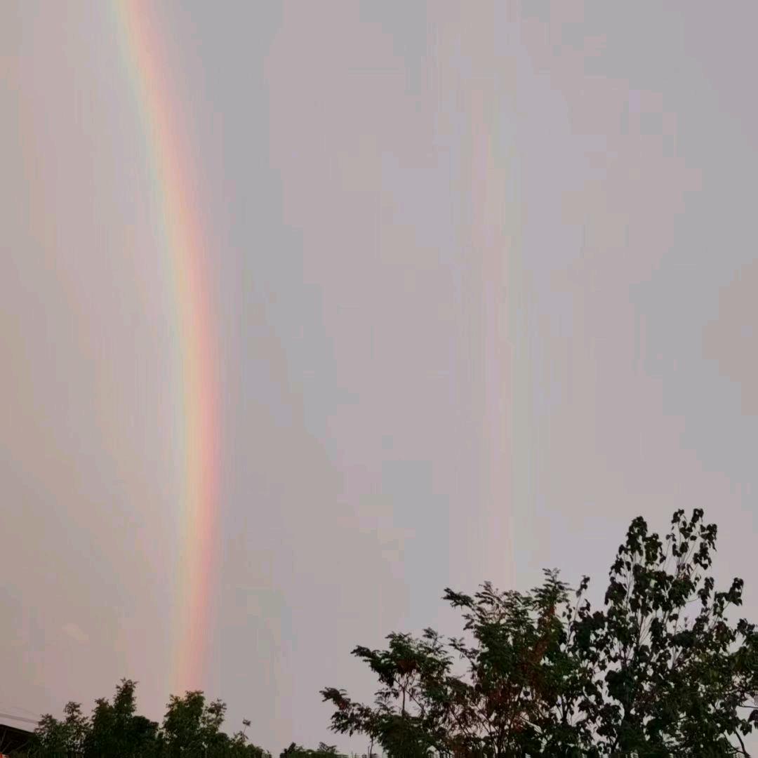 洋洋青年艺术团