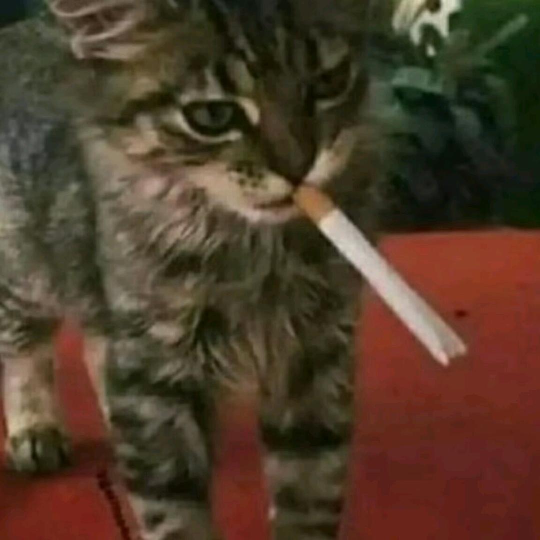 偷吃老婆骨灰被判无期