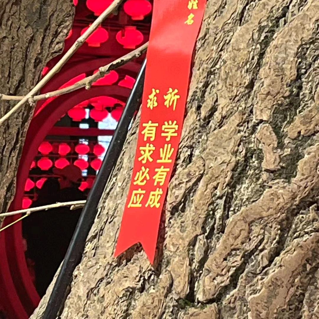 只求公平公正公开