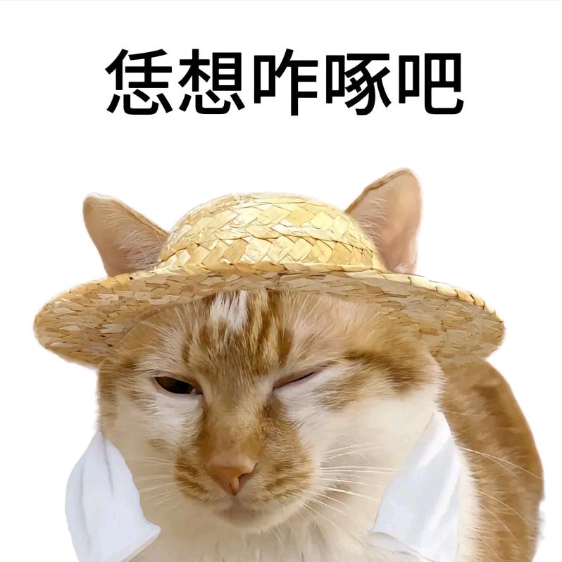 今天吃鸡蛋面