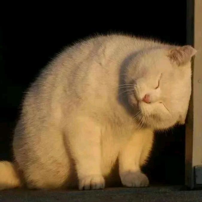代喜全🌒