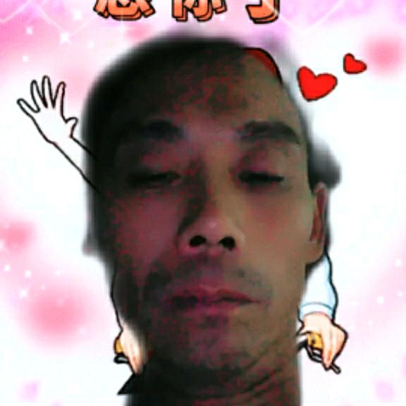 发材