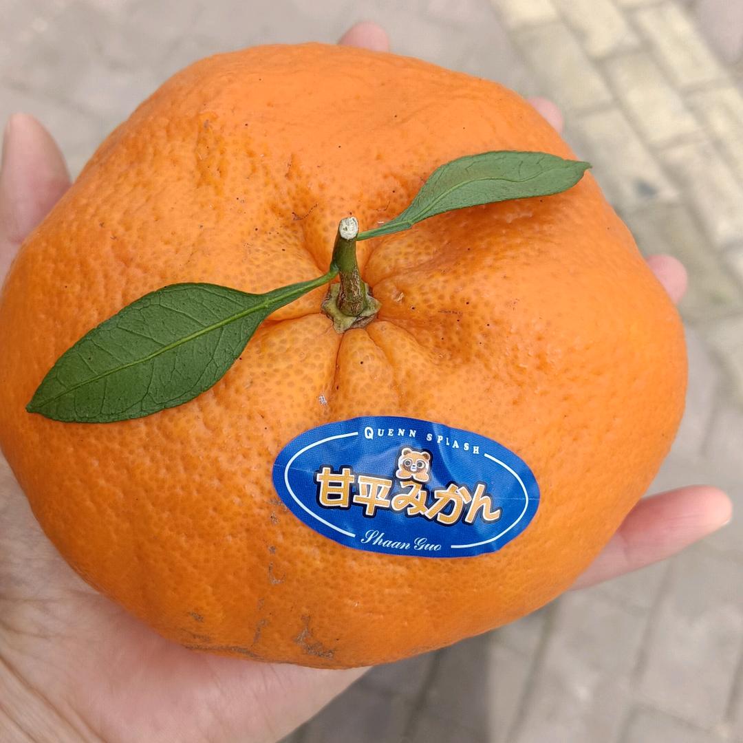 🌴兰陵王妃