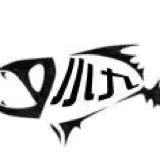 王小九路亚定制直播号