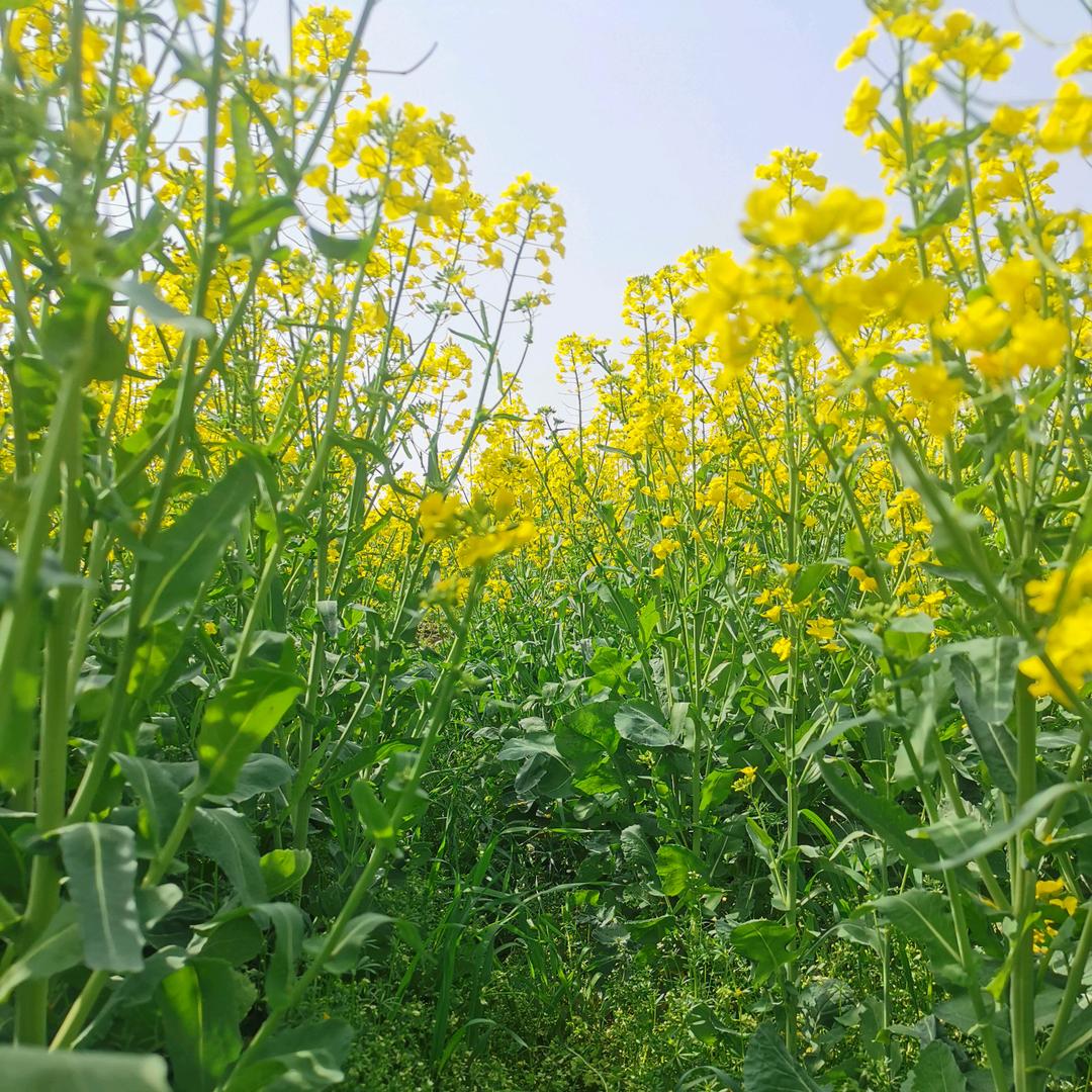走南闯北