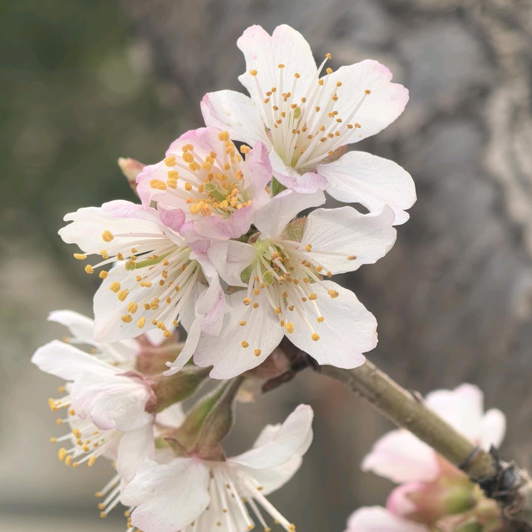 小磊优品小铺子