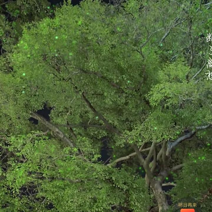 一生平安