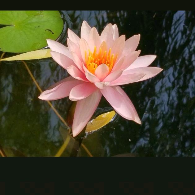 为善最乐，能忍则安