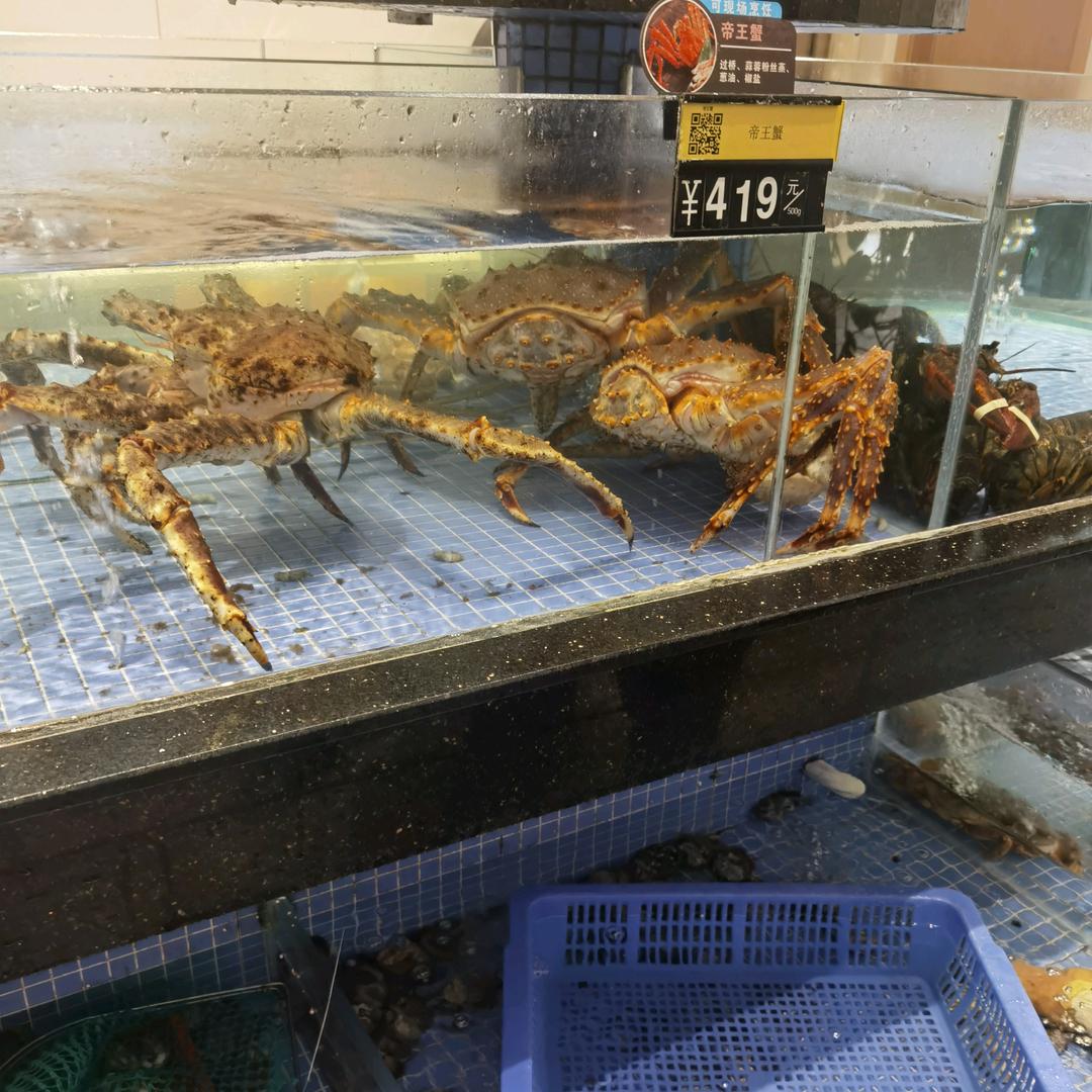 等你