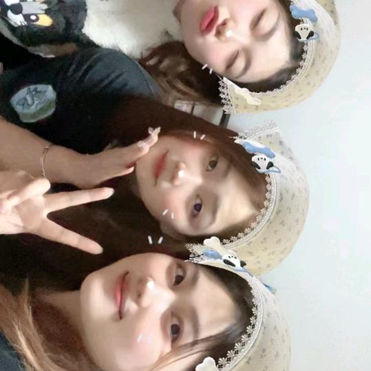 🌻那些过往💰☘️☘️☘️忘扰草🌹