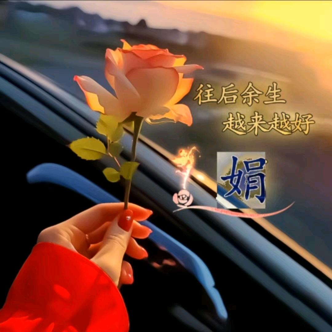 风中的承诺92602