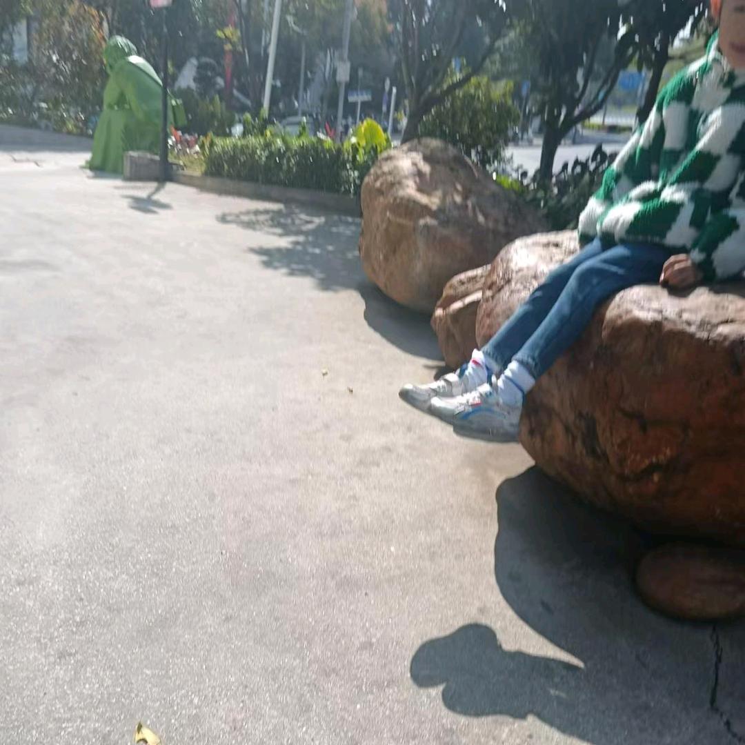 大毛呀
