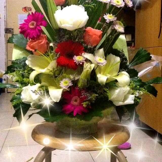 🌹🌹彩虹🌺🌺