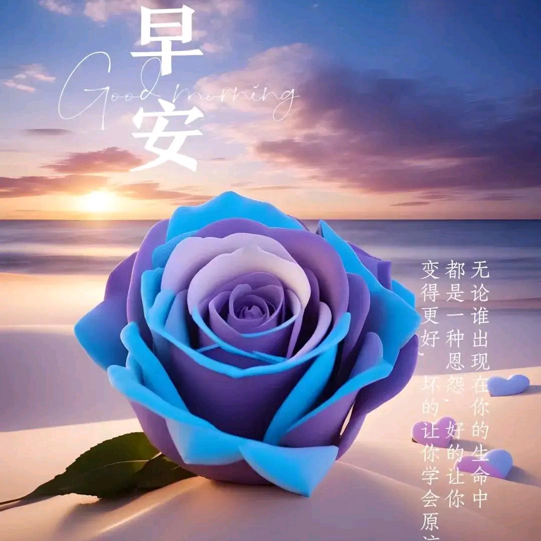 岁月静好