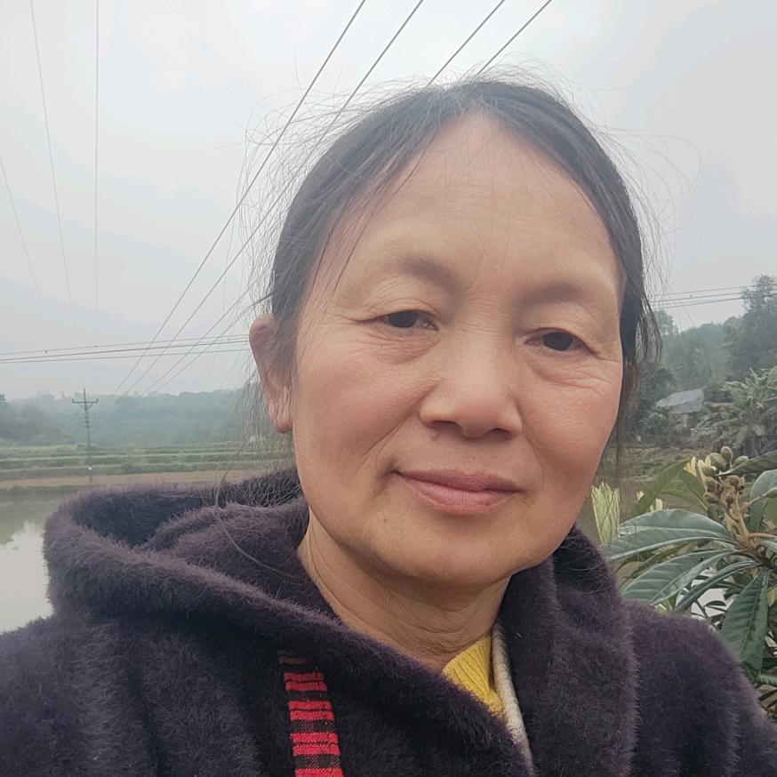 重庆卢姐