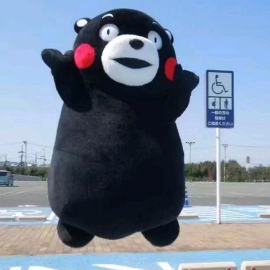 不闻不问就很好