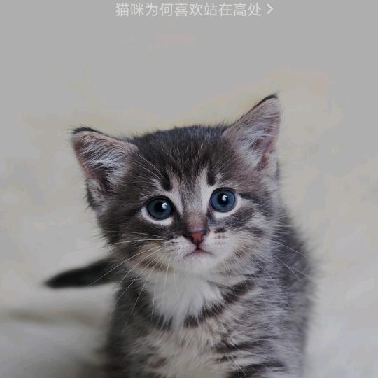 爱你