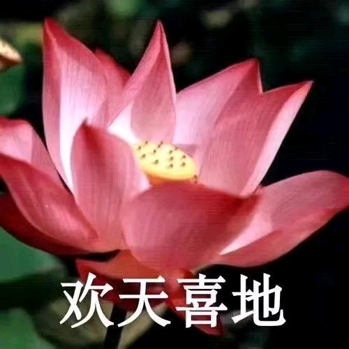心想事成一生