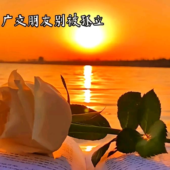 老梅音乐