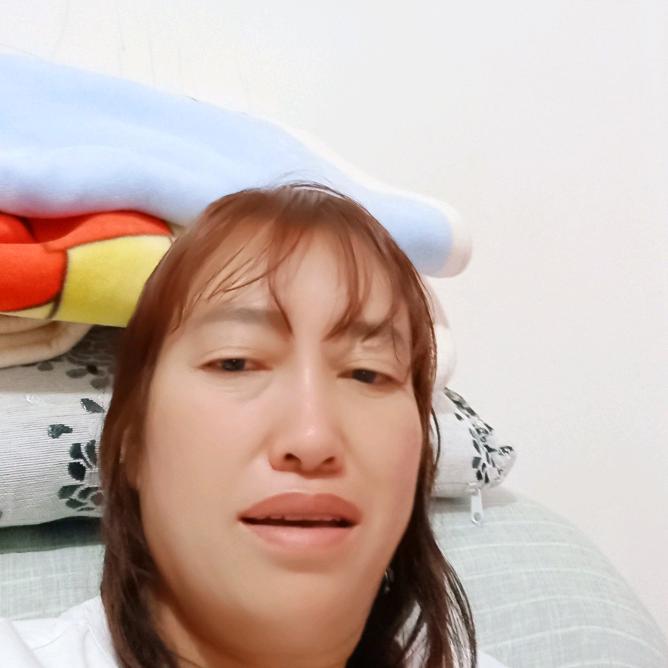 雨蝶