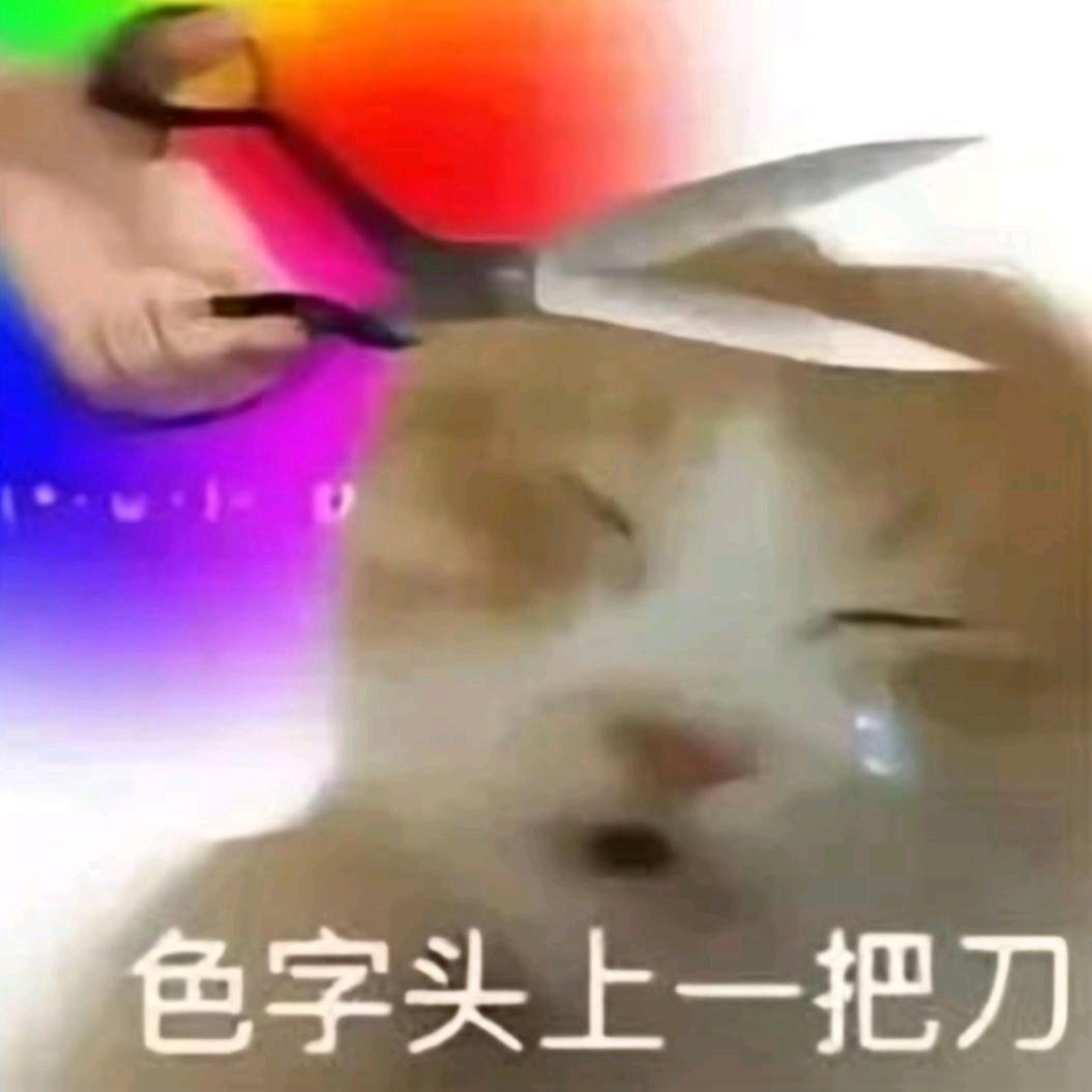 垚紅爱玩狗