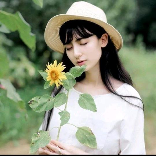 萍萍好物