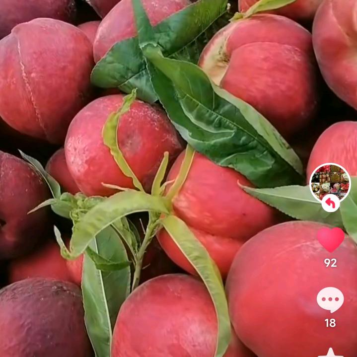欢乐有你