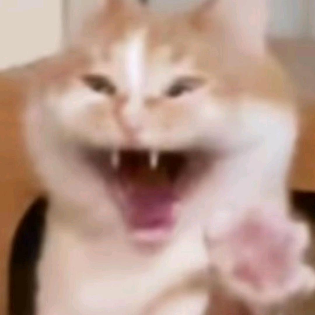 八尺鹰