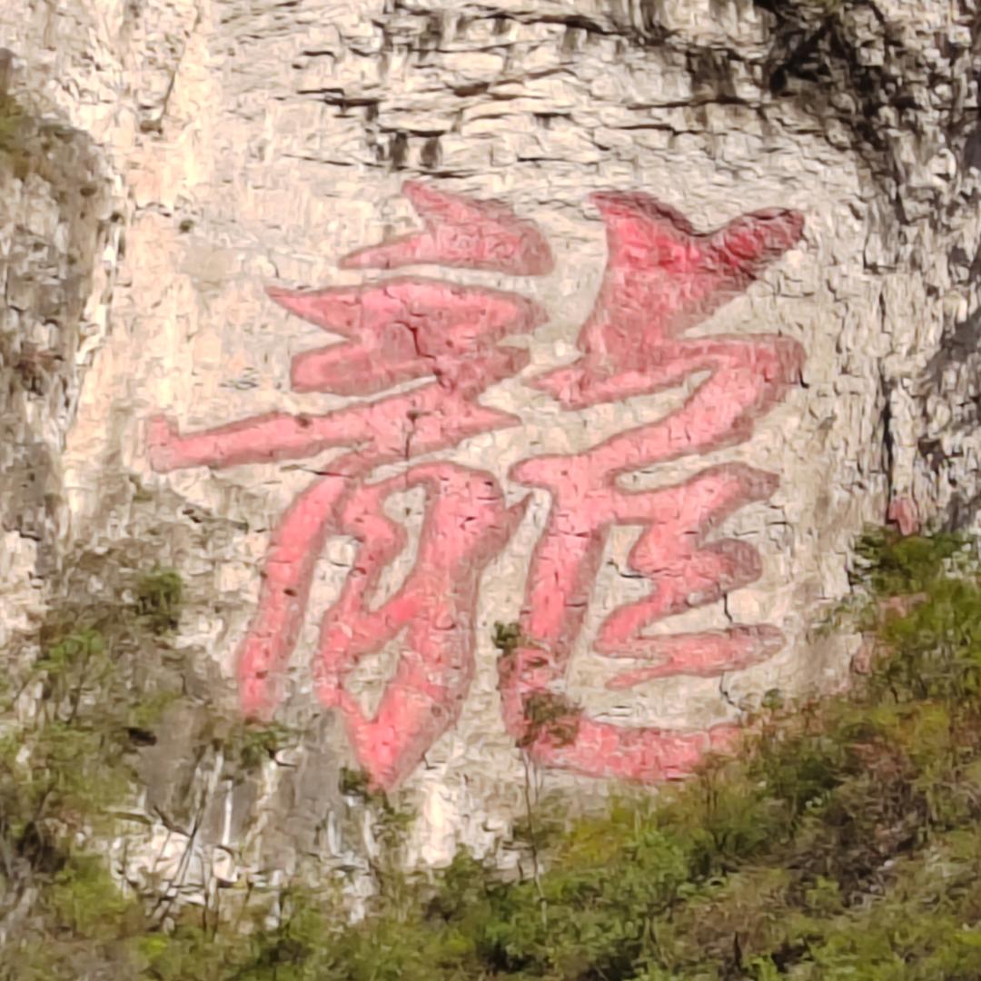 富贵鳞龙