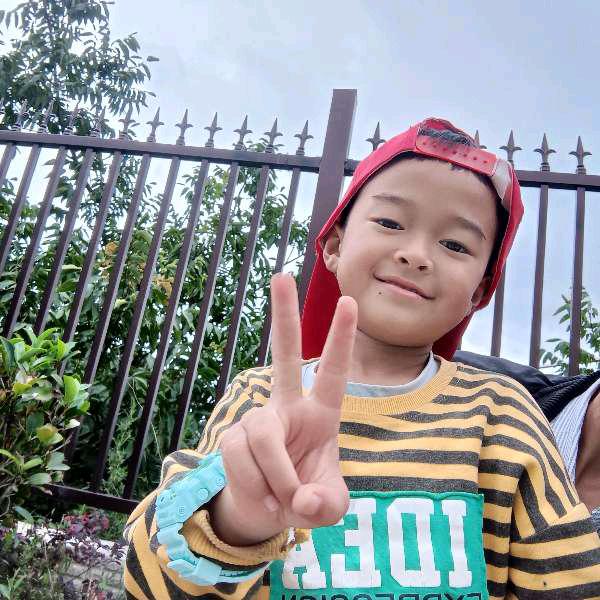 云南旅游找学林