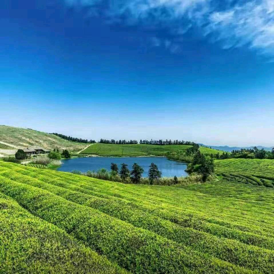 &不忘初心%方得始终&