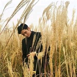 💤时间的过客☀️