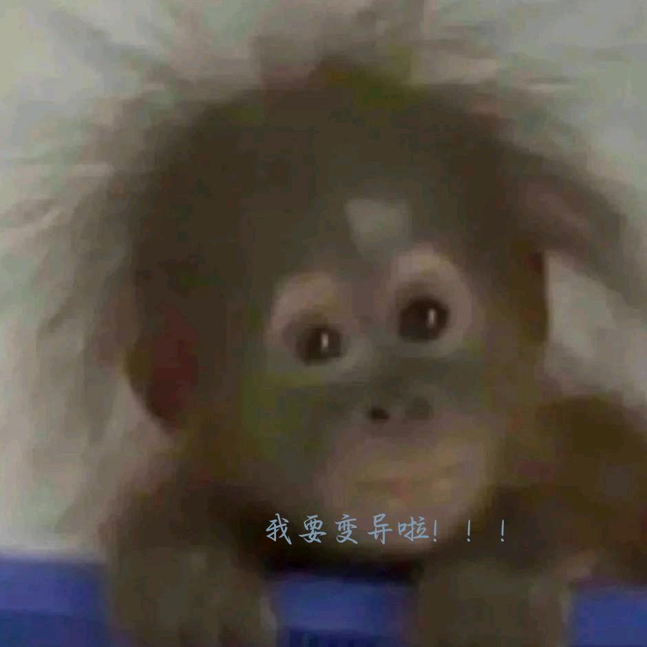 鸳鸯求去黄鹤楼追剧