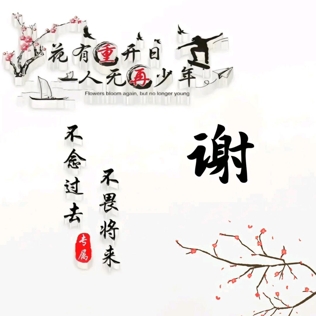 老谢影剧