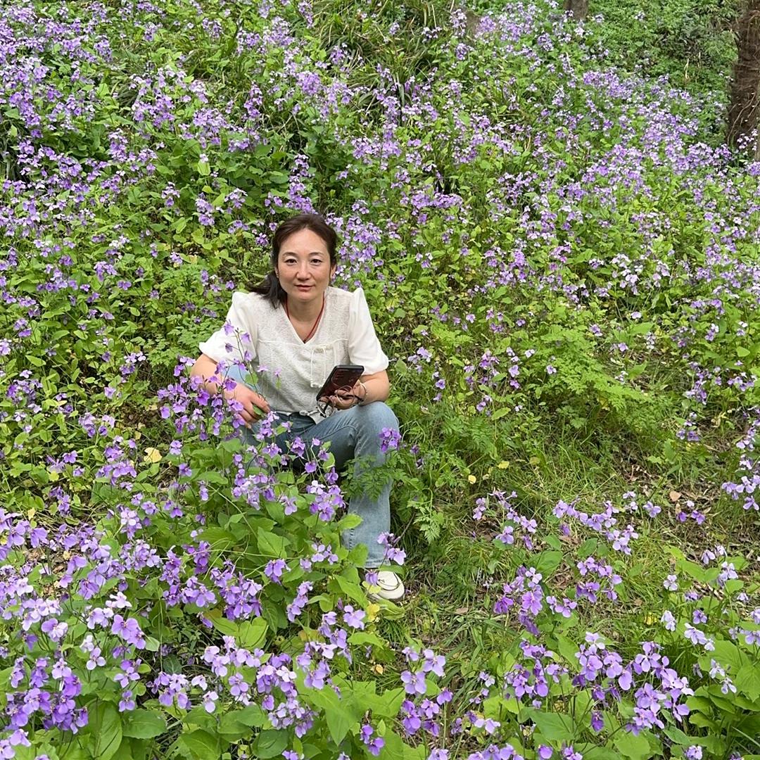 蝶恋花