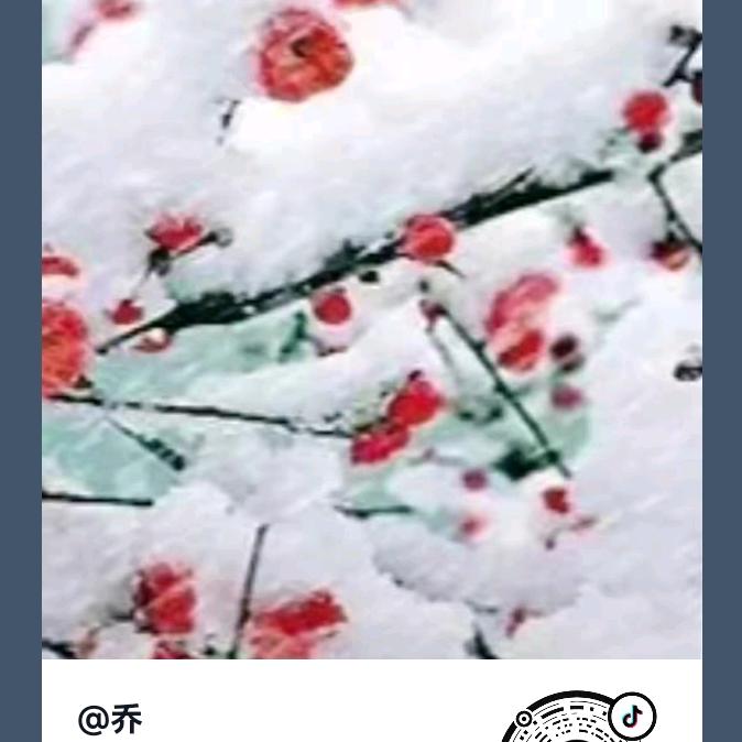 林知乐