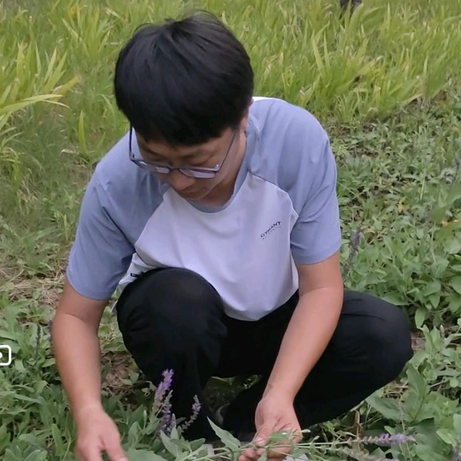 大林讲百草