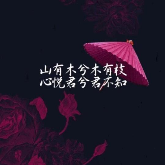 ༺༃喵༒喵༃༻