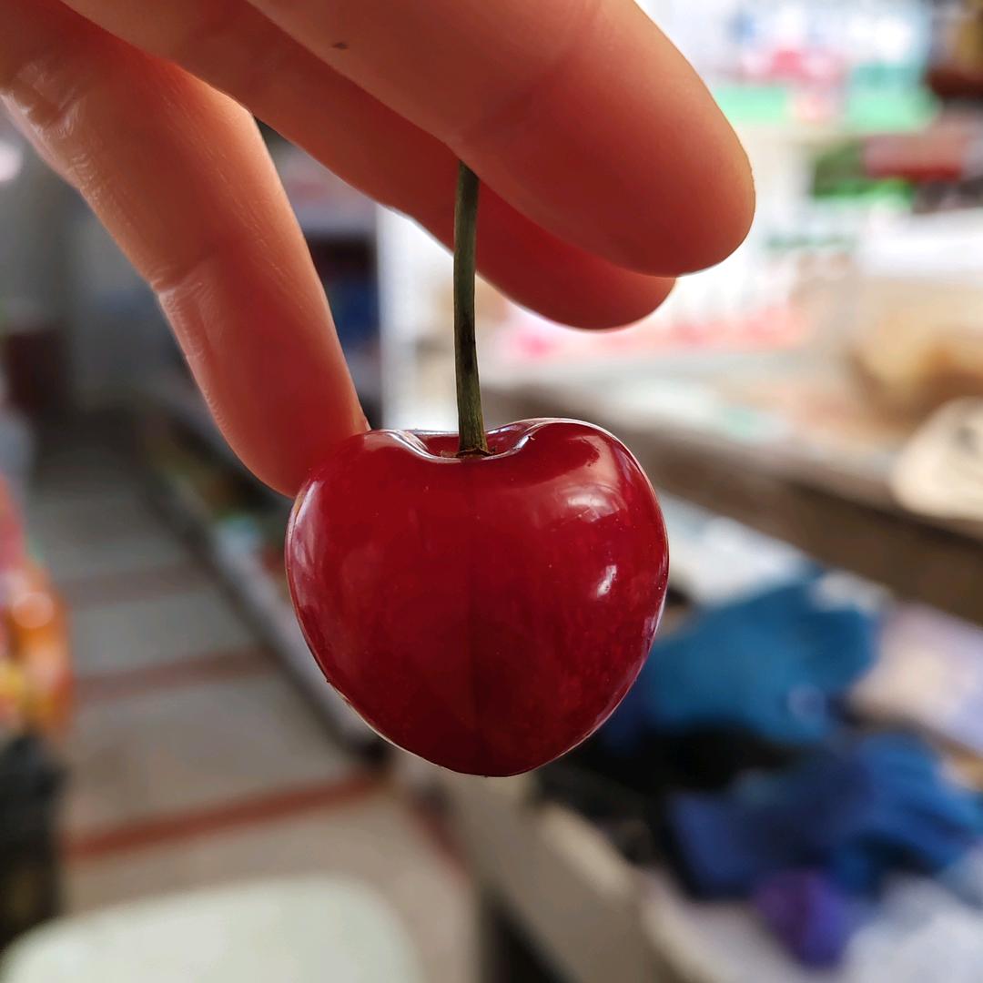 小可新（11级晶小朵）