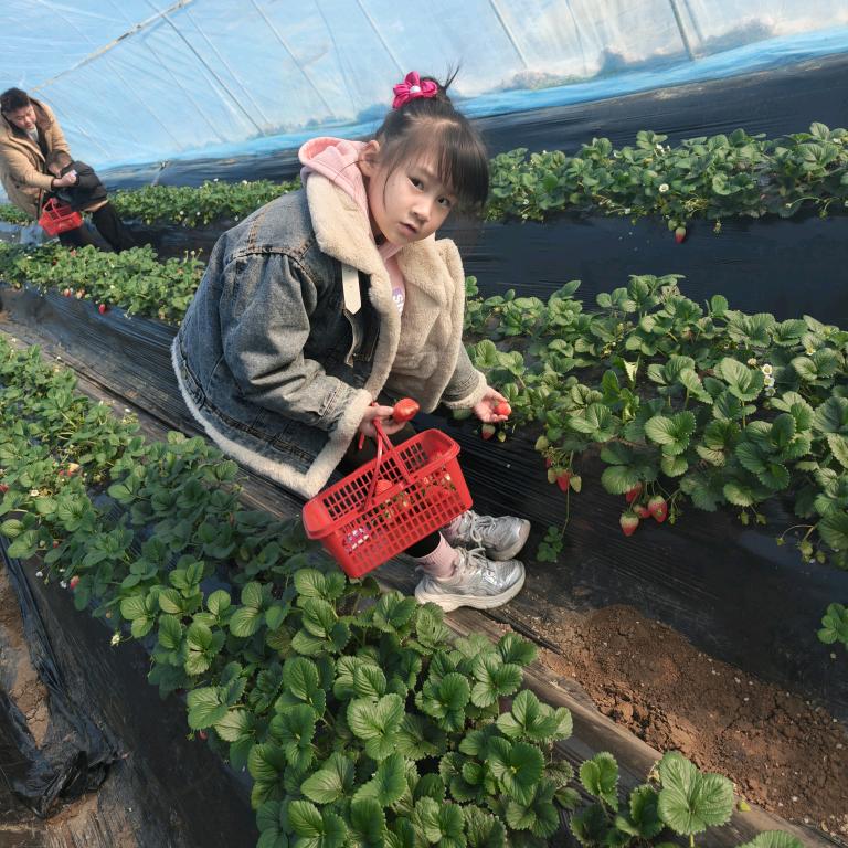 吉祥四宝