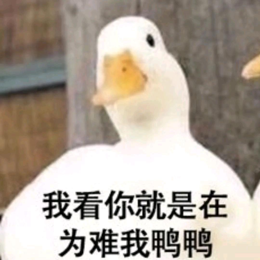依旧头像