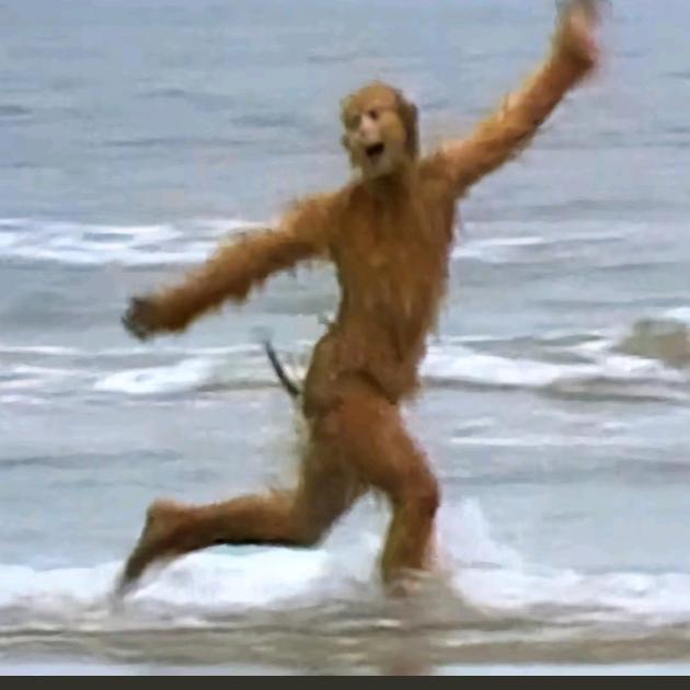 花果山在逃公猴