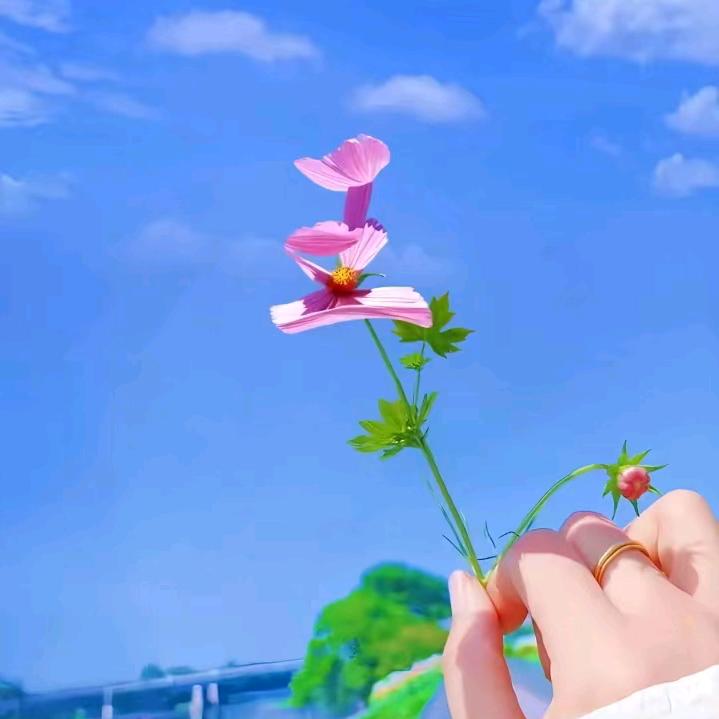 陌生人