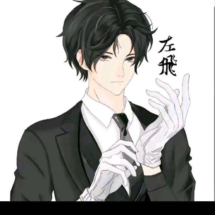左飞