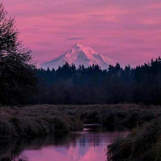 狼堡里的灰太狼