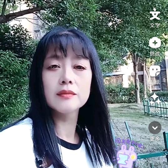 丛中蝶舞