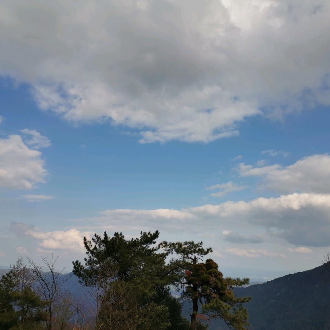 迎着美好向前