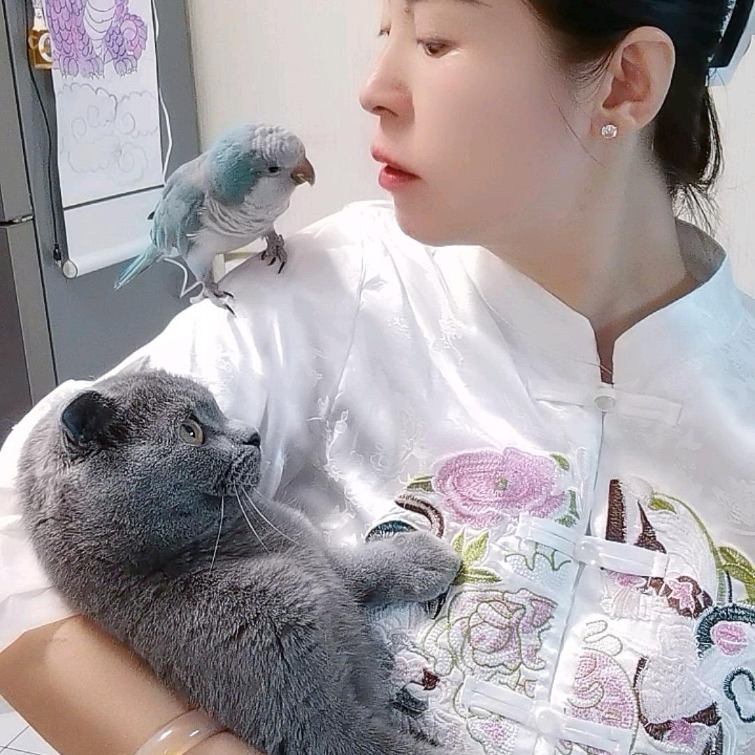 嘟嘟嘛嘛