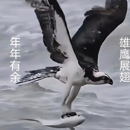 芙蓉王