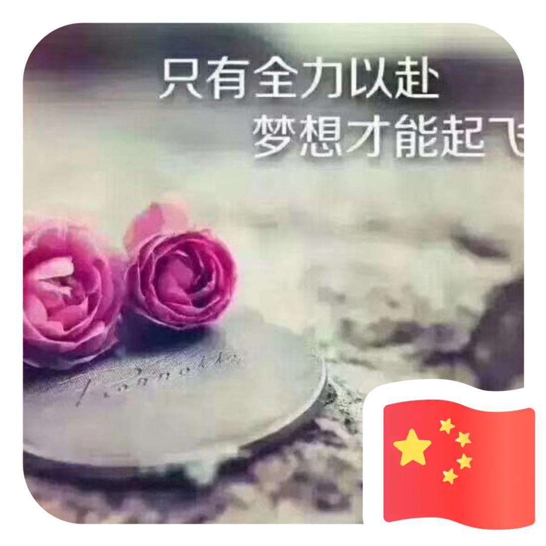全力以赴梦想